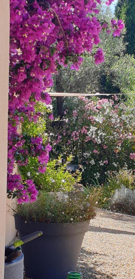 La Bastide Aux Oliviers Otel Tourrettes-sur-Loup Dış mekan fotoğraf