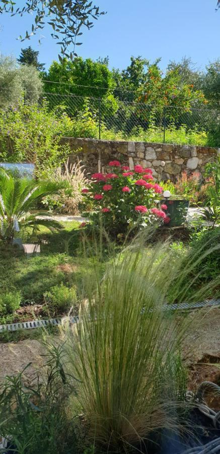 La Bastide Aux Oliviers Otel Tourrettes-sur-Loup Dış mekan fotoğraf