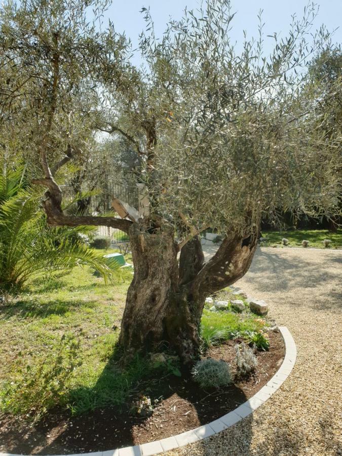 La Bastide Aux Oliviers Otel Tourrettes-sur-Loup Dış mekan fotoğraf